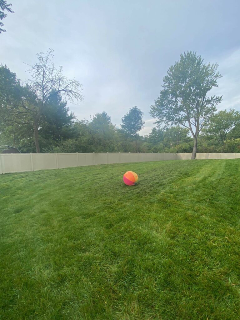 Large vinyl fence