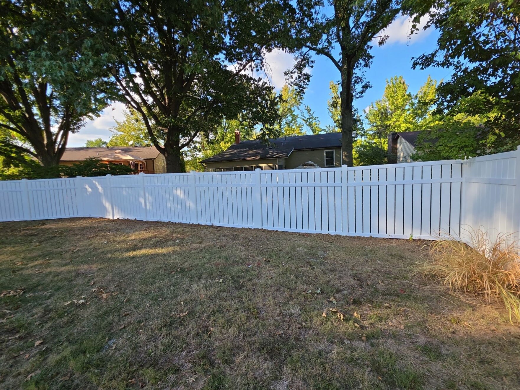 Lewis Ludwig's Fence