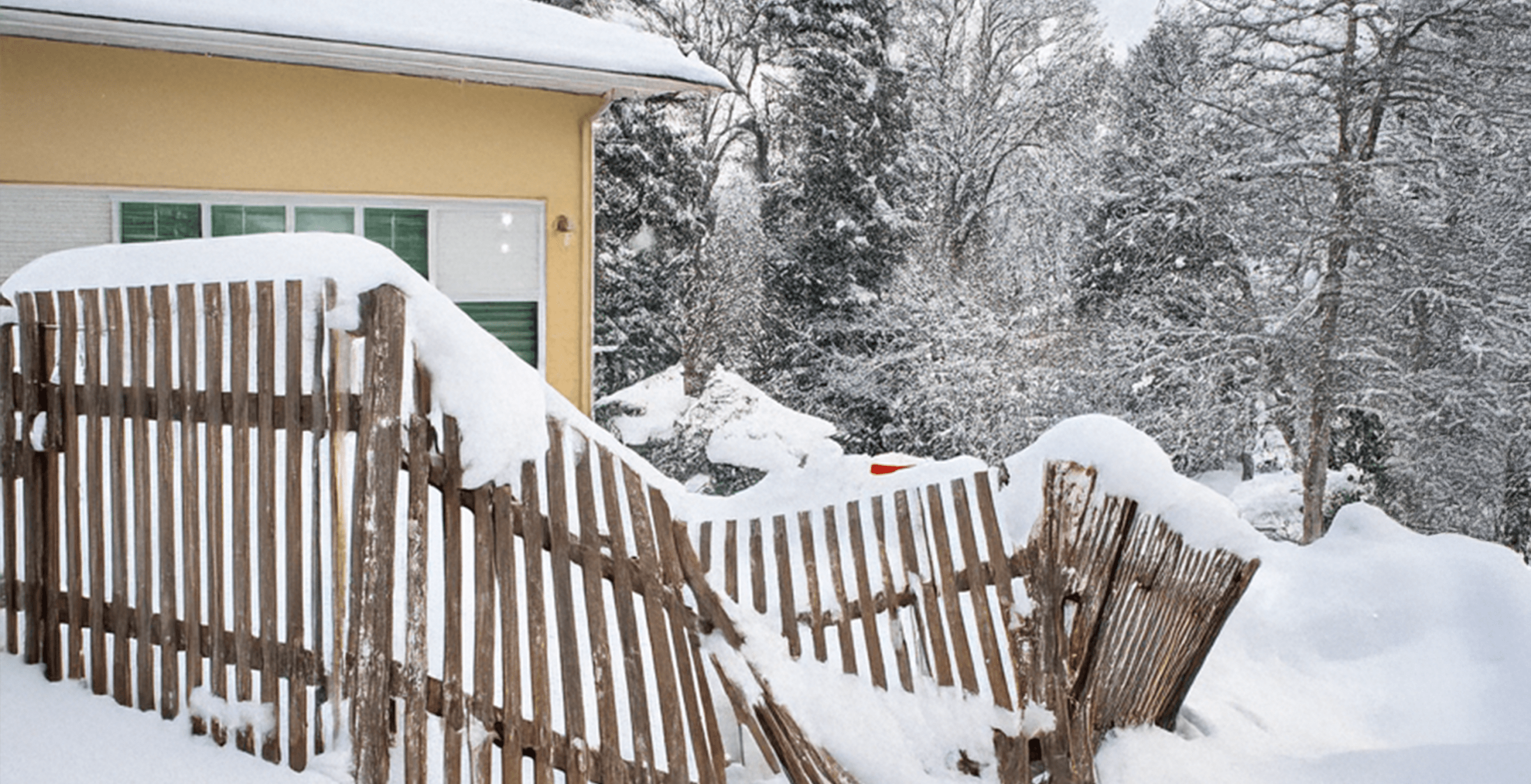 Snow damage