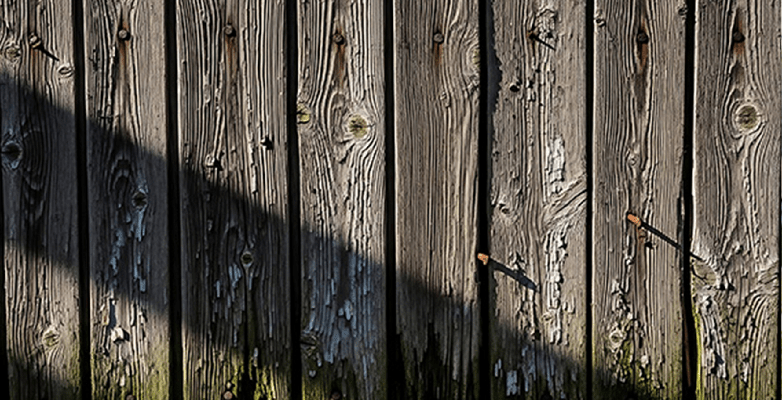 rotting wood fence