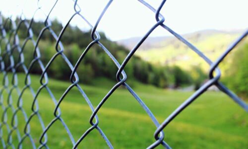 Close-up of chain link fence