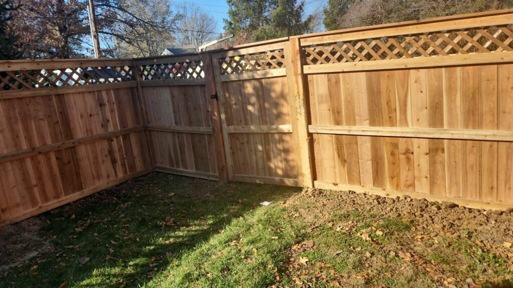 Cedar Fence