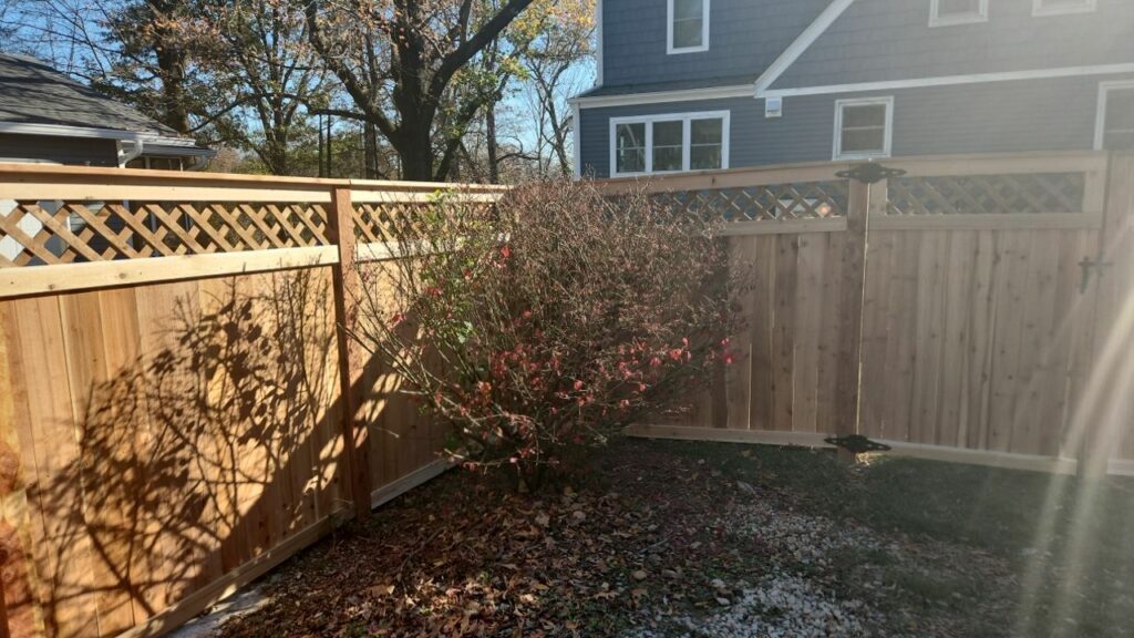 Cedar Fence
