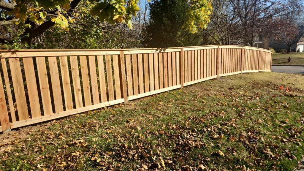 Cedar Fence