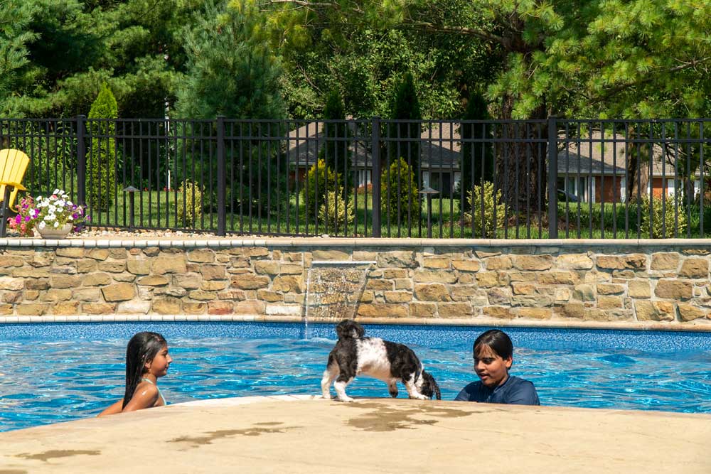 Aluminum fence around pool and yard