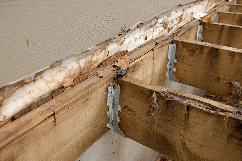 AdobeStock_1120532870