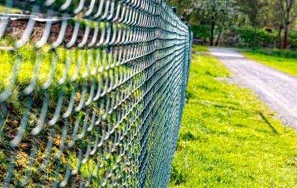 A chain link fence extends along a road, fencing in a grassy yard