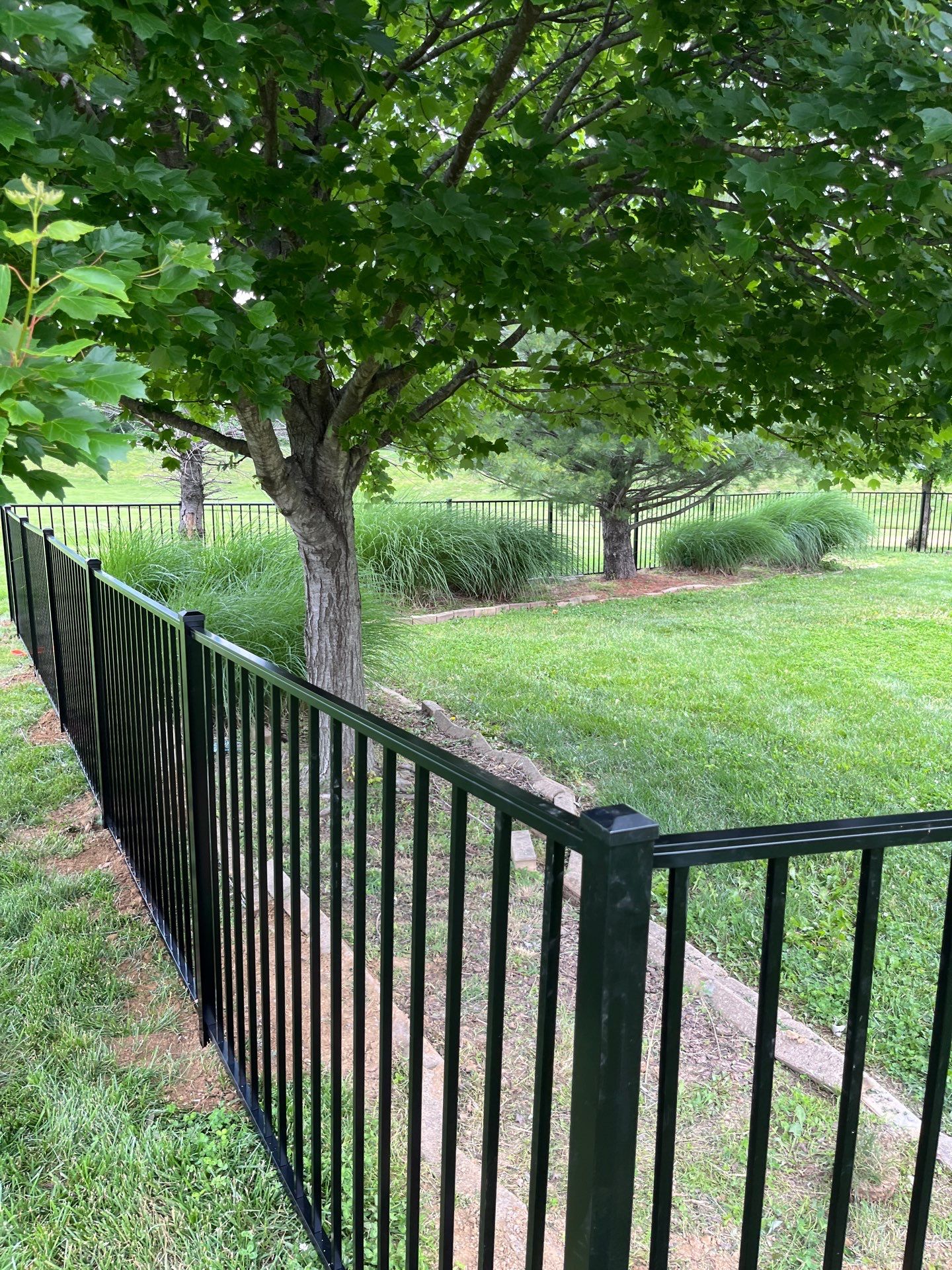 Aluminum fence surrounds lush backyard garden area