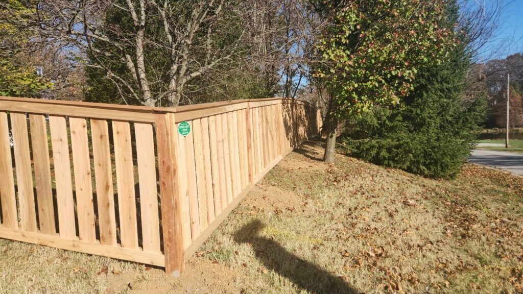 Cedar Fence