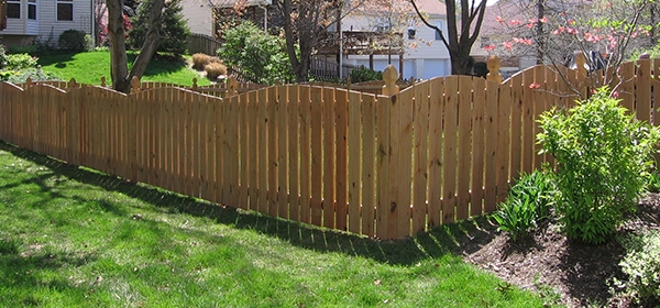 Western Red Cedar scalloped fence in sunny yard