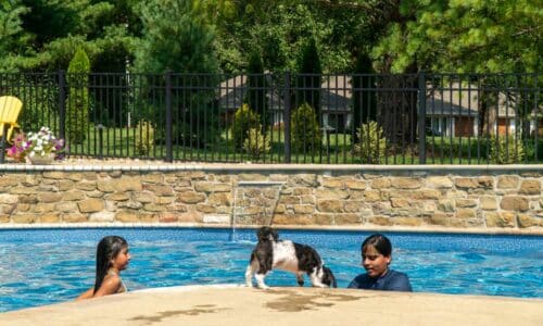 Fence-Deck-Depot-748-500×300 Aluminum fence around pool