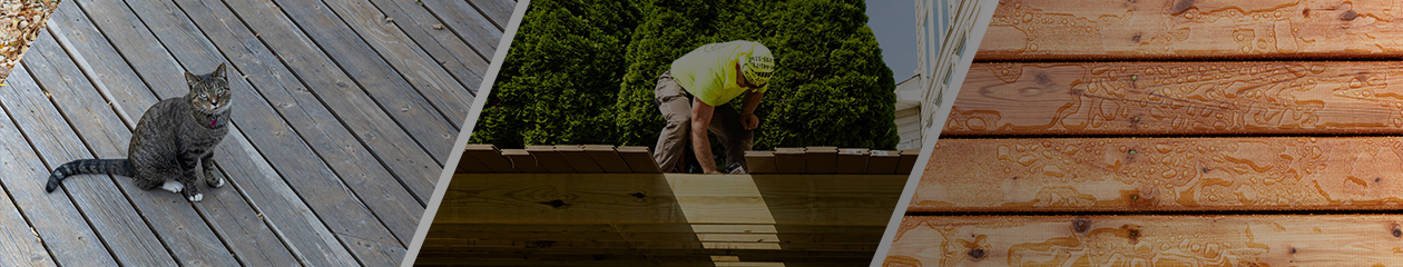 Collage of 3 wood deck images. One is weathered, one is being installed by a Fence and Deck worker, and the third has rain water beaded up.