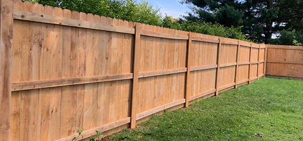Douglas Fir Privacy Fence