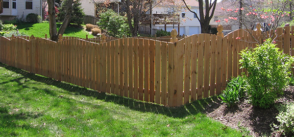 Western Red Cedar scalloped fence in sunny yard