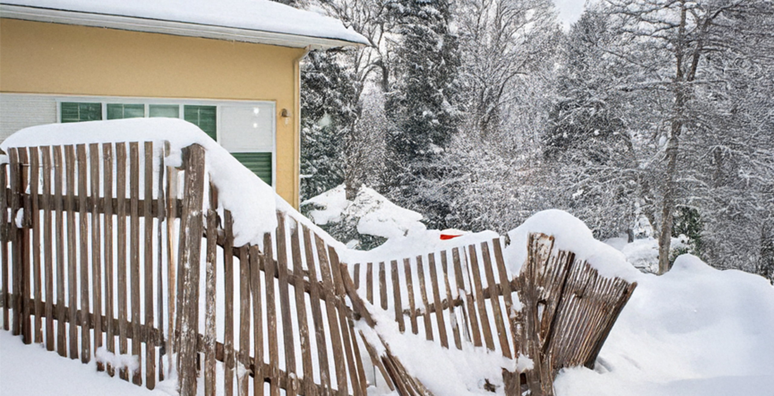 Snow damage